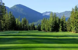Course Image 1