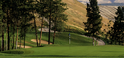 Course Image 2