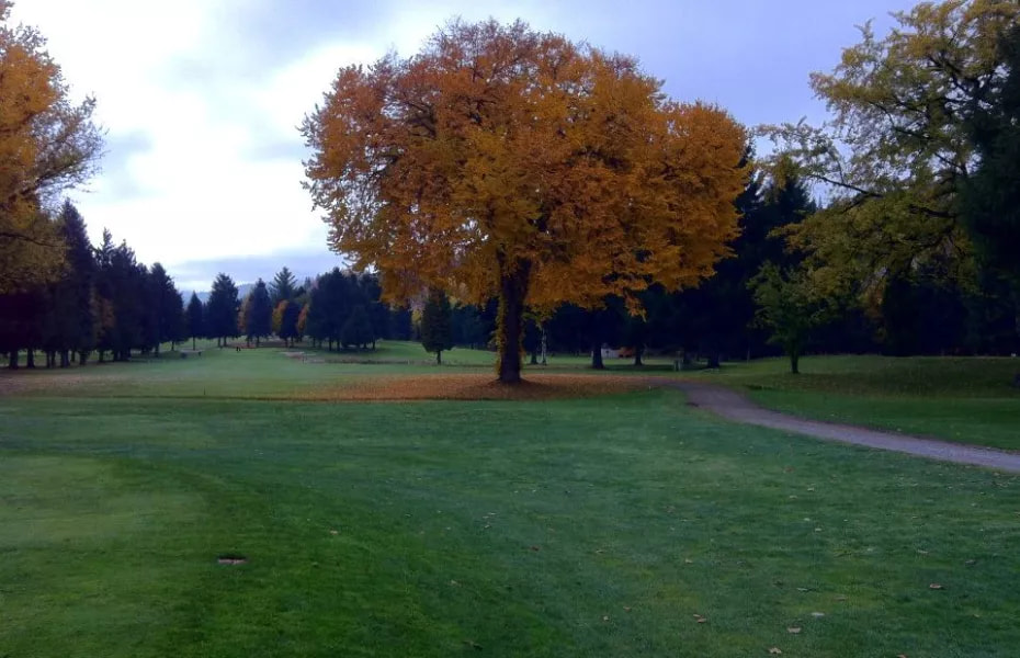 Birchbank Golf Course golf course