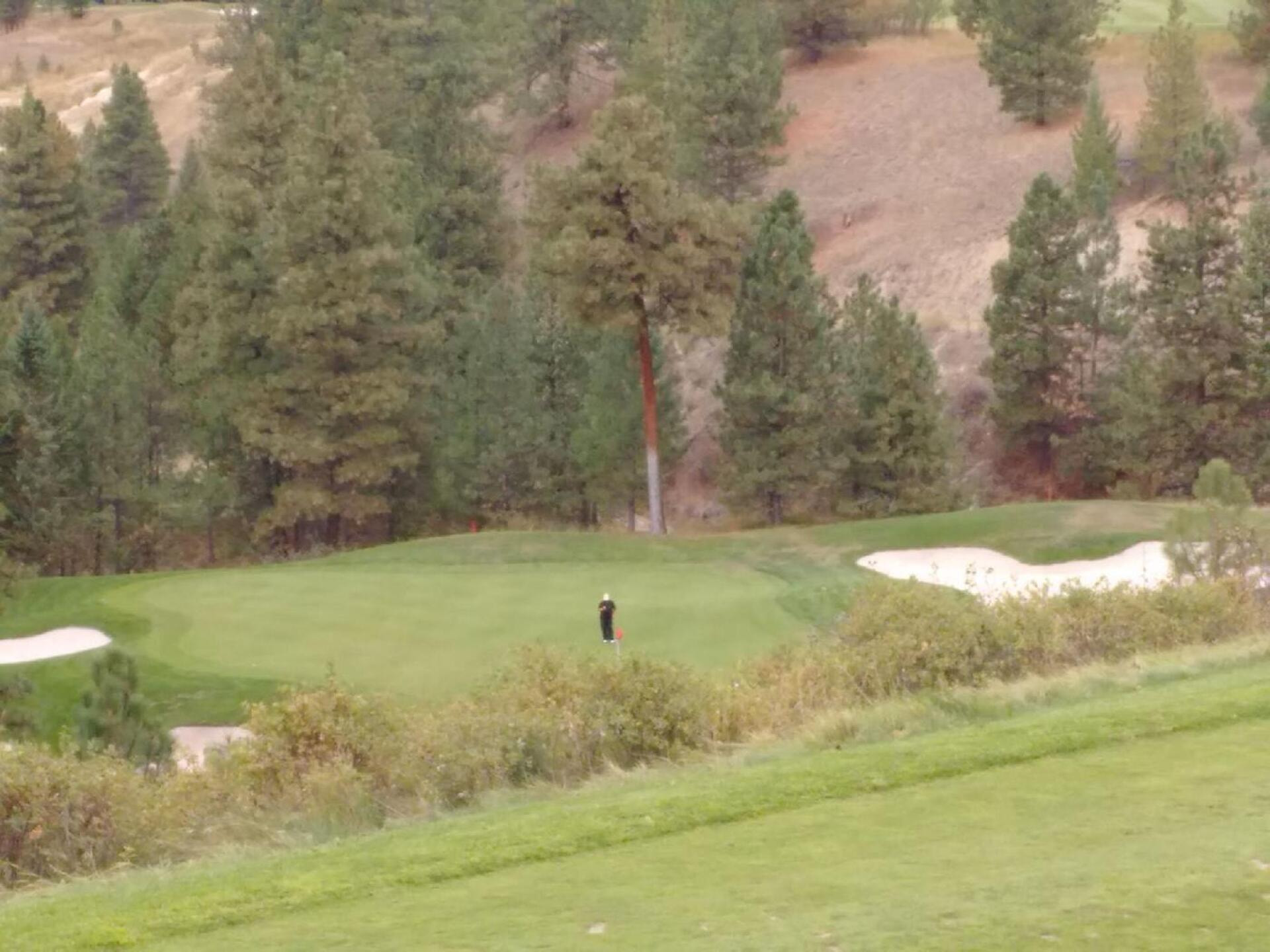 Bootleg Gap Golf golf course