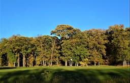 Course Image 2