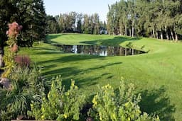 Course Image 1