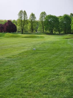 Course Image 1