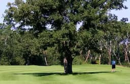 Course Image 2