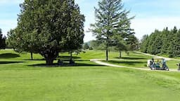 Course Image 4