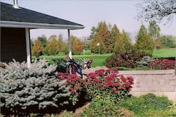 Course Image 2