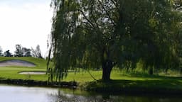 Course Image 4