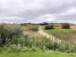 Course Image 2