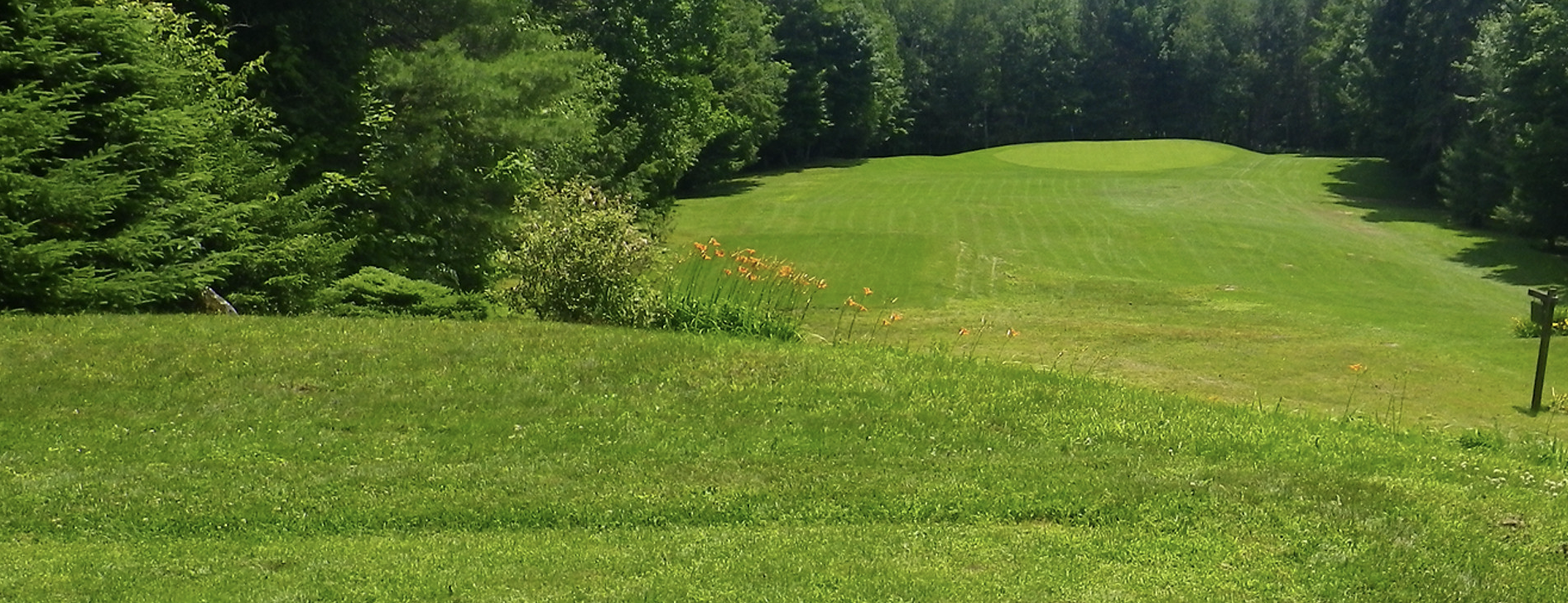 Dunany Country Club golf course