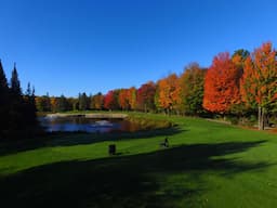 Course Image 3