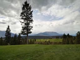 Course Image 2