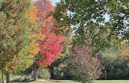 Course Image 2