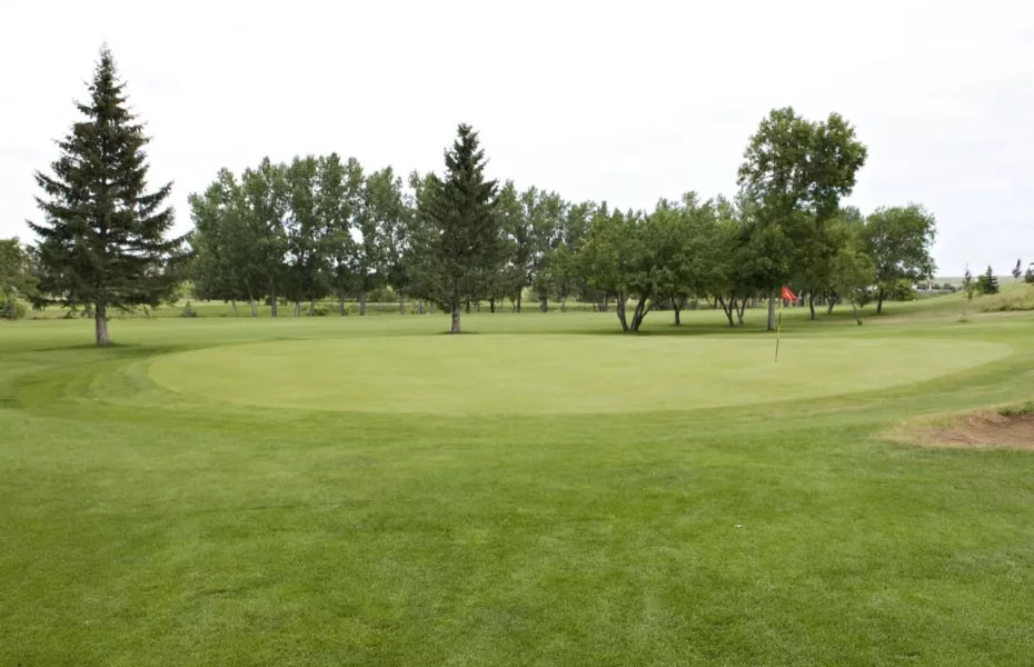 Elmwood Golf & Country Club golf course