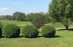 Course Image 2