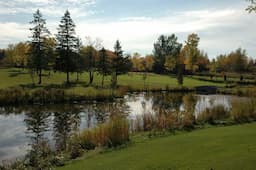 Course Image 4