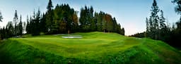 Course Image 4