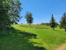 Course Image 1