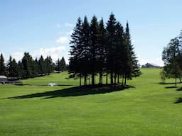 Course Image 2