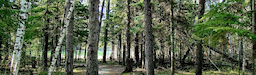 Course Image 2