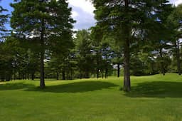 Course Image 2