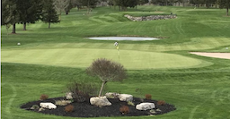Course Image 1