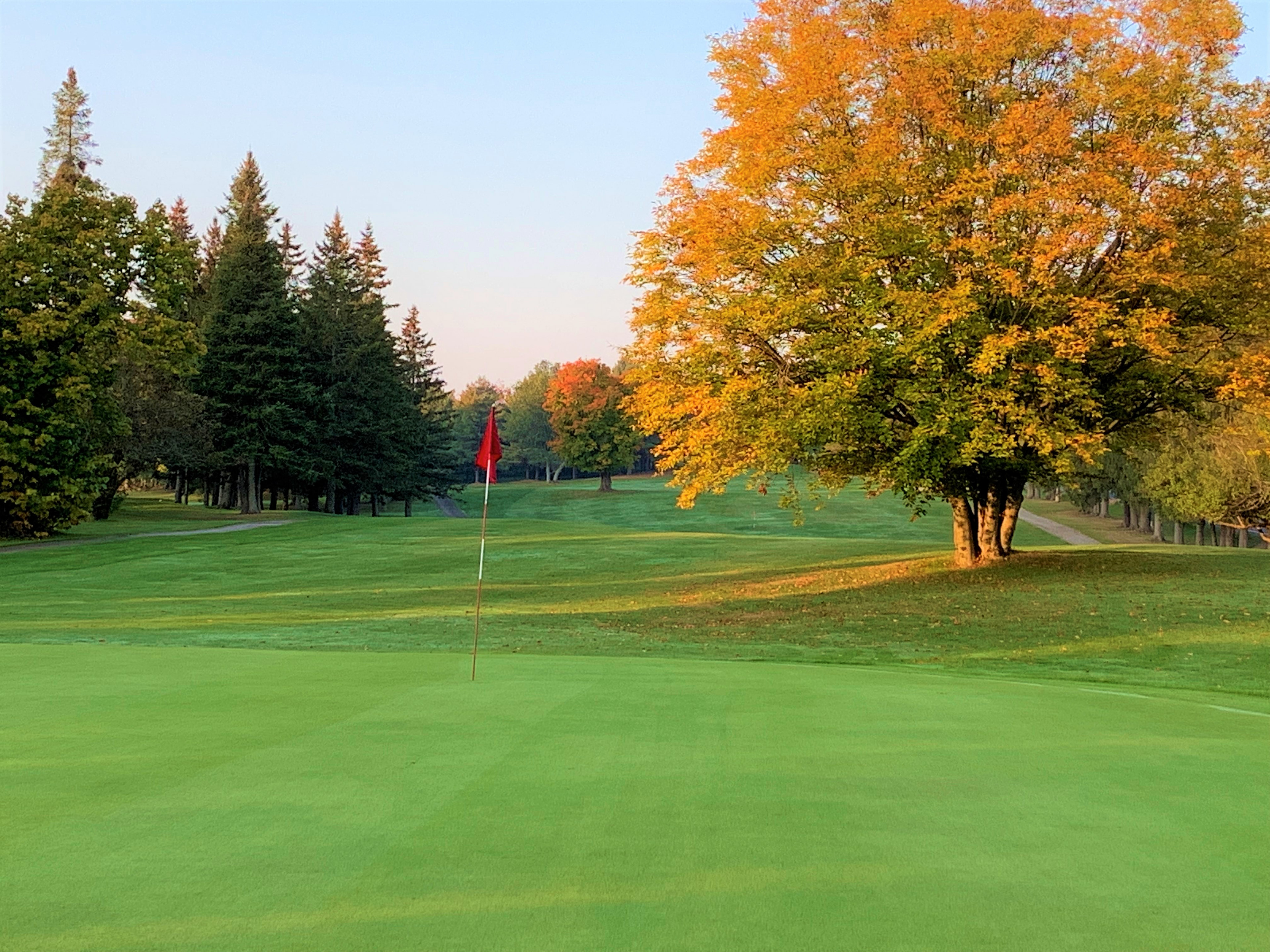 Club de Golf de Plessisville et Golf des Bois-Francs golf course