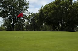 Course Image 2