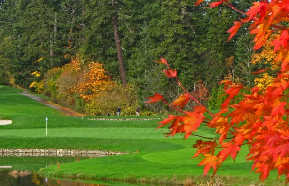 Gorge Vale Golf Club golf course