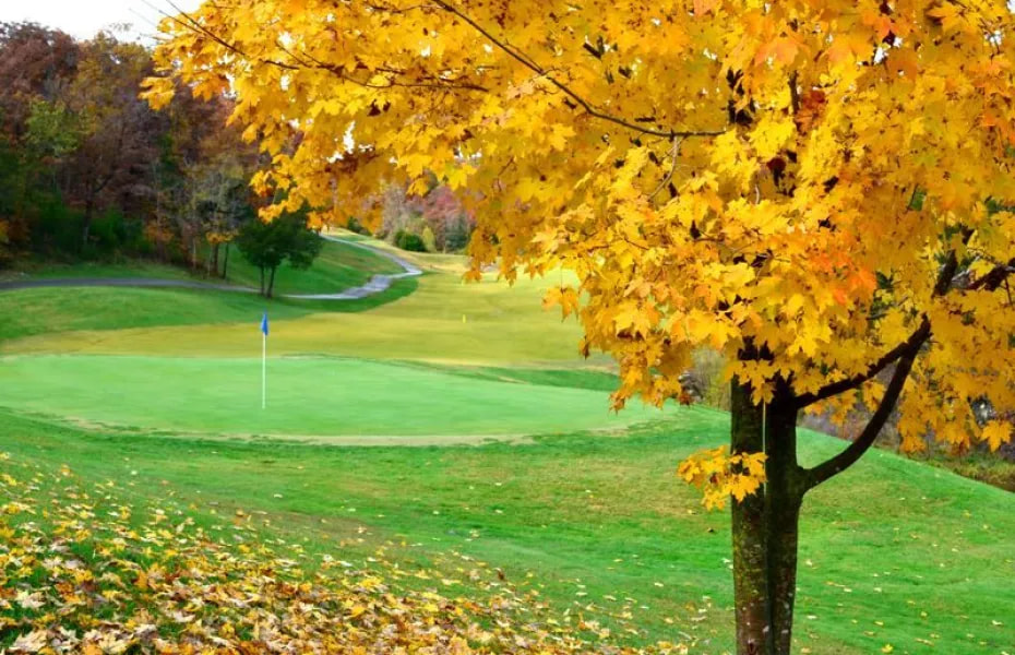 Grand Pines Golf Course golf course