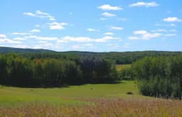Course Image 2
