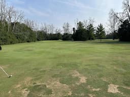 Course Image 1