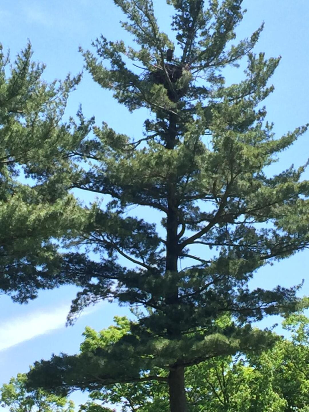 Heron Point Golf Links golf course