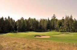 Course Image 1