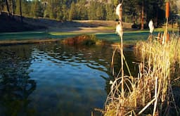 Course Image 2
