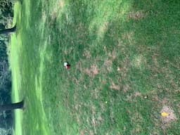 Course Image 1