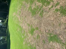Course Image 2