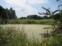 Course Image 3