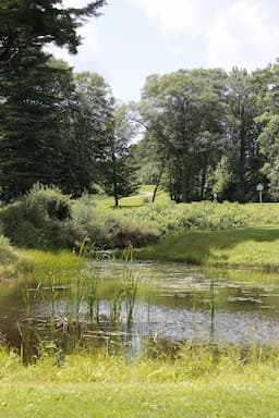 Course Image 3