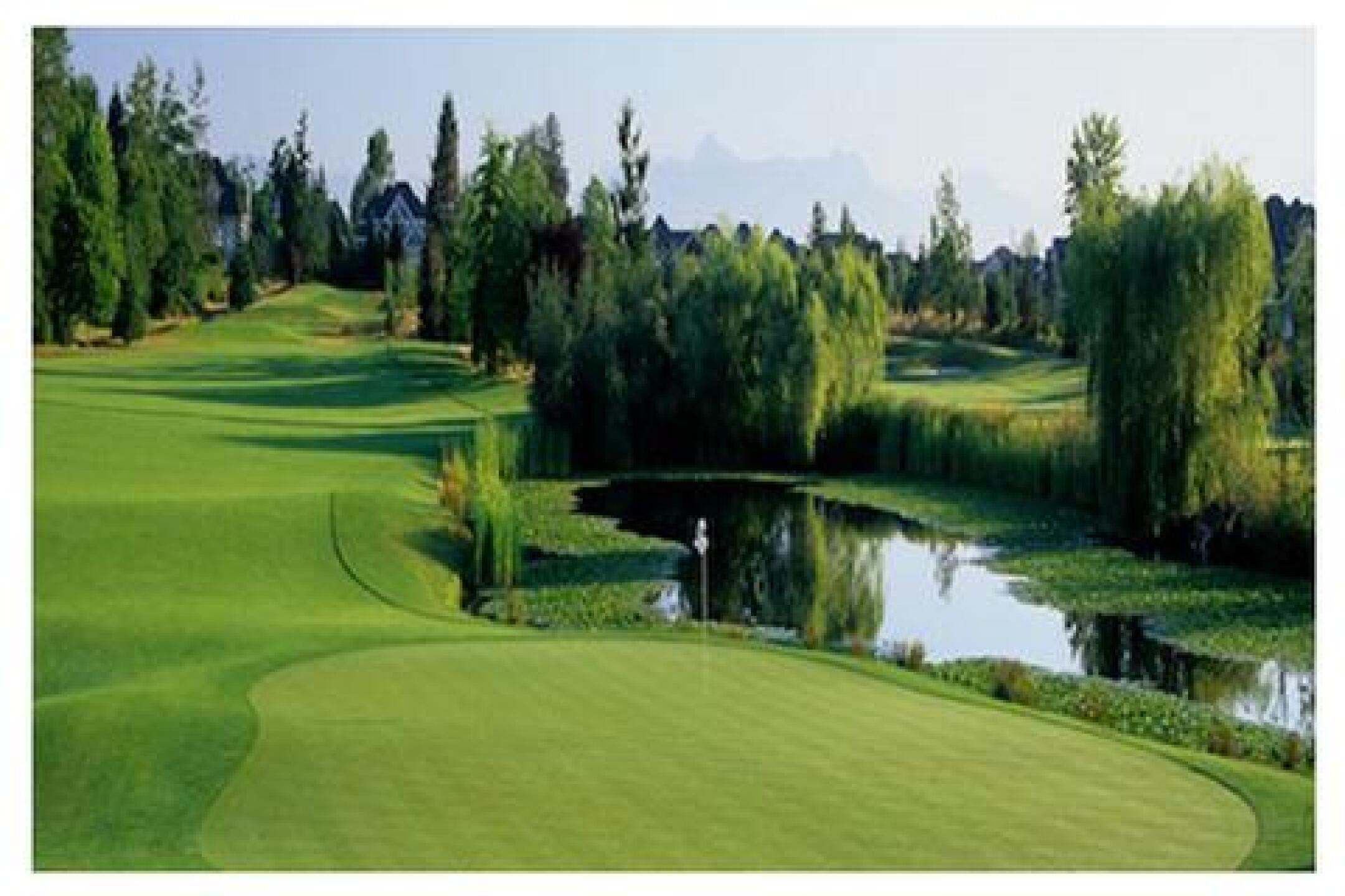Morgan Creek Golf Course golf course