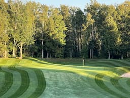 Course Image 4