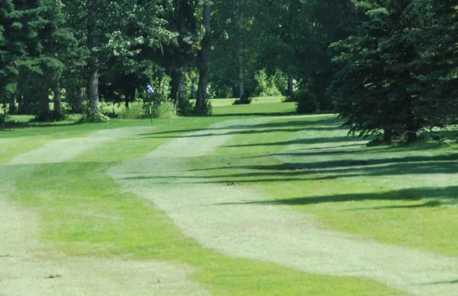 Pigeon Lake Golf Club golf course