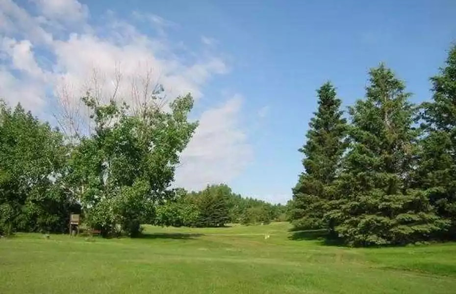 Pineridge Golf Club golf course