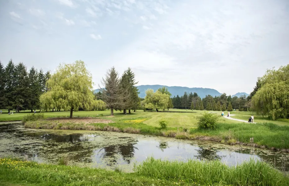 Pitt Meadows Golf Club golf course