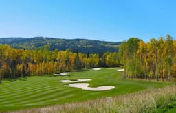 Course Image 1