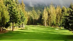 Course Image 1