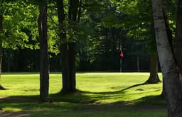 Course Image 3
