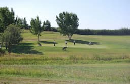 Course Image 1
