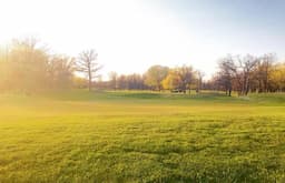 Course Image 2