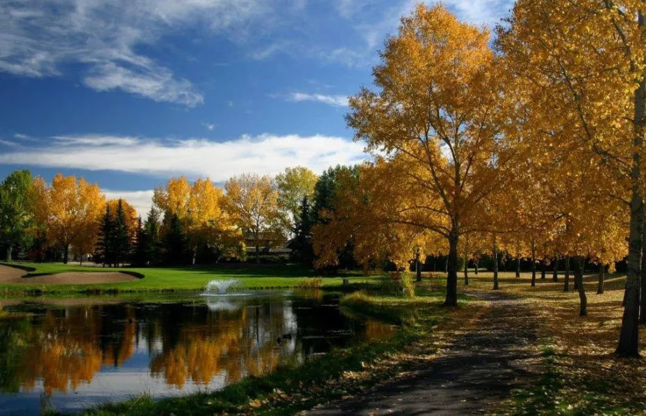Silver Springs Golf & Country Club golf course