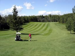 Course Image 1